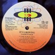 画像6: ガーネット・シルク ~ Garnett Silk / イッツ・グローウィング ~ It's Growing (LP) 