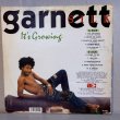 画像2: ガーネット・シルク ~ Garnett Silk / イッツ・グローウィング ~ It's Growing (LP) 