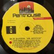 画像6: ブジュ・バントン ~ Buju Banton / ミスター・メンション ~ Mr. Mention (LP)　