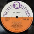 画像5: ビッグ・ユース ~ Big Youth / エブリデイ・スカンク — ベスト・オブ・ビッグ・ユース ~ Everyday Skank (The Best of Big Youth) (LP)　