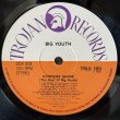 画像4: ビッグ・ユース ~ Big Youth / エブリデイ・スカンク — ベスト・オブ・ビッグ・ユース ~ Everyday Skank (The Best of Big Youth) (LP)　