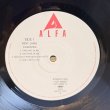 画像4: カシオペア ~ Casiopea / ミント・ジャムス ~ Mint Jams (LP)　