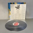 画像3: V.A. / ボイス ~ VOICE (LP)