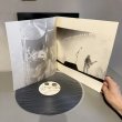 画像4: ジョニー、ルイス＆チャー ~ JOHNNY, LOUIS & CHAR / トライシクル ~ tricycle (LP)