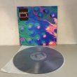画像3: SADIE SADS / アンゴラ D. ~ ANGORA D. (12")