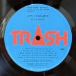 画像5: Peter Green ピーター・グリーン / Little Dreamer 夢幻のギター (LP)