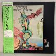 画像1: Mountain ~ ナンタケット・スレイライド (LP)