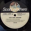 画像6: Survivor ~ バイタル・サインズ (LP)