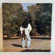 画像2: 矢野顕子 ~ Akiko Yano / ごはんができたよ (2LP)
