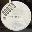 画像9: スティング ~ Sting / ブルー・タートルの夢 ~ The Dream Of The Blue Turtles (LP)