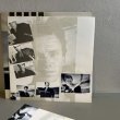 画像7: スティング ~ Sting / ブルー・タートルの夢 ~ The Dream Of The Blue Turtles (LP)
