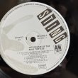 画像8: スティング ~ Sting / ブルー・タートルの夢 ~ The Dream Of The Blue Turtles (LP)