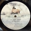 画像11: ザ・ビーチ・ボーイズ ~ The Beach Boys / エルエー(ライト・アルバム) ~ L.A.(Light Album) (LP)