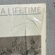 画像2: マーヴィン・ゲイ ~ Marvin Gaye / ドリーム・オブ・ア・ライフタイム ~ Dream Of A Lifetime (LP)