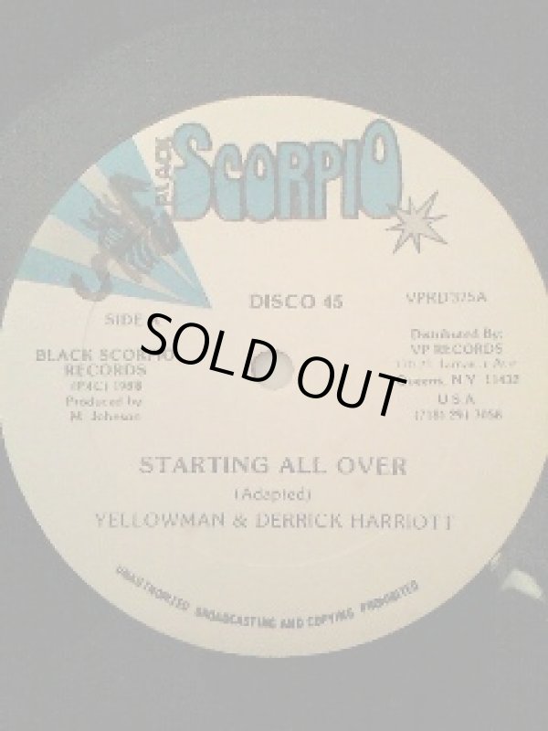 画像1: YELLOWMAN & DERRICK HARRIOTT . STARTING ALL OVER