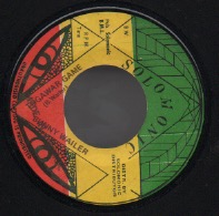 画像1: BUNNY WAILER / TOGAWAR GAME . CRUCIAL