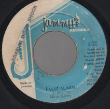 画像1: NITTY GRITTY / FALSE ALARM