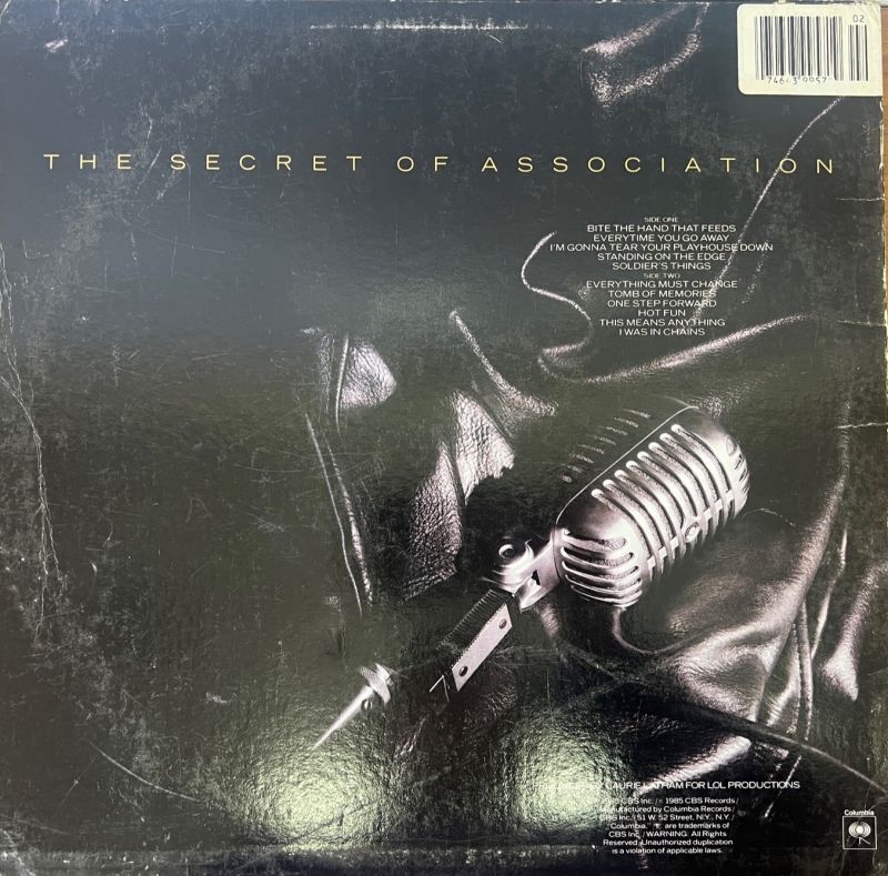 画像2: PAUL YOUNG / THE SECRET OF ASSOCIATION