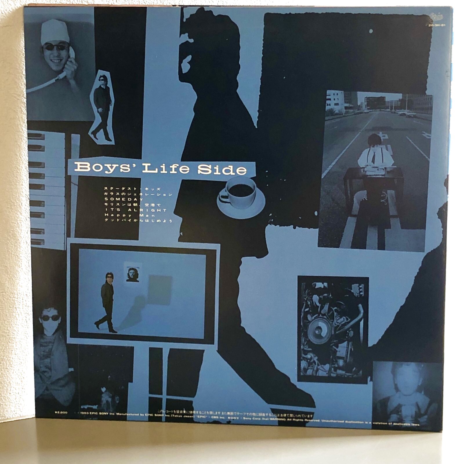 画像2: 佐野元春 / No Damage