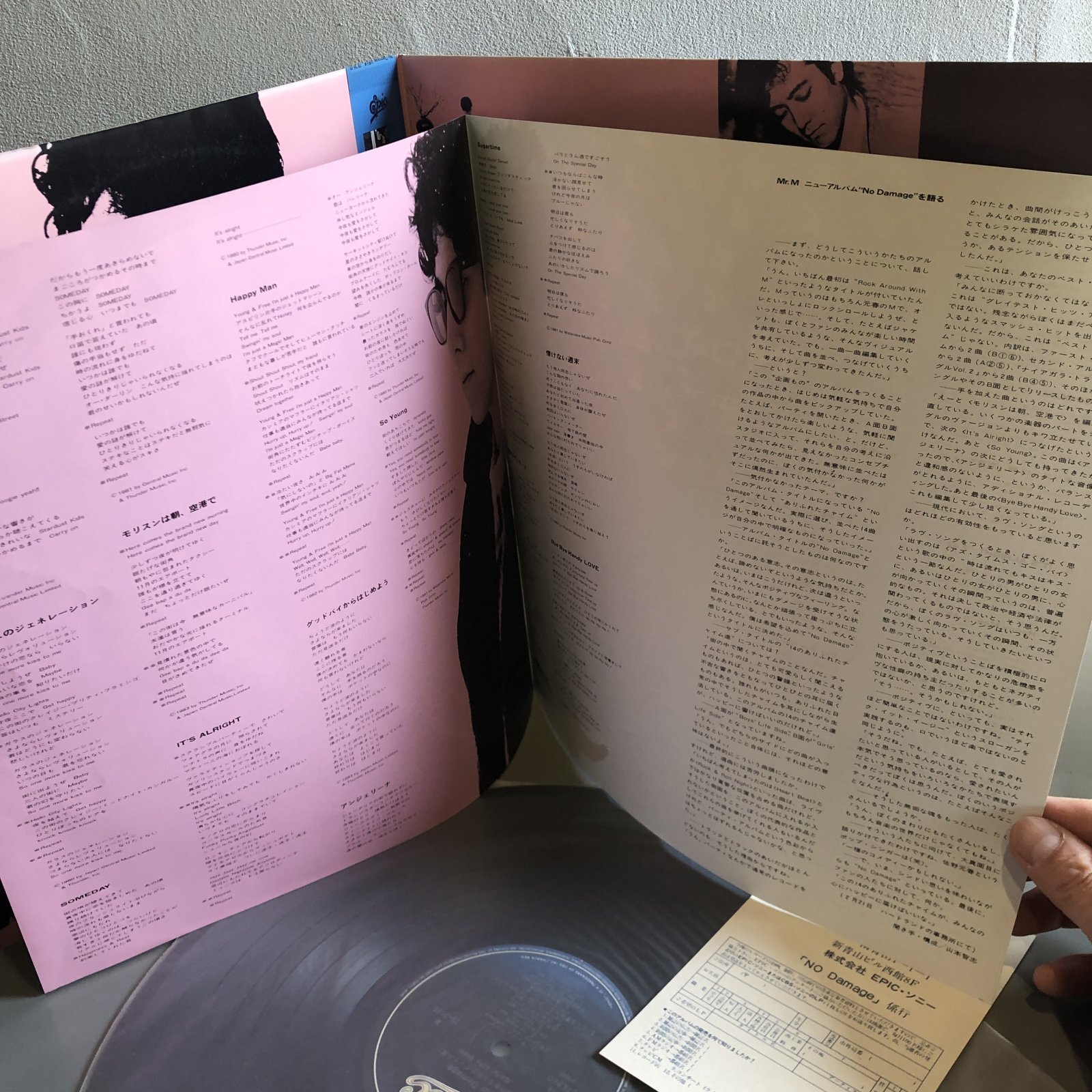 画像5: 佐野元春 / No Damage