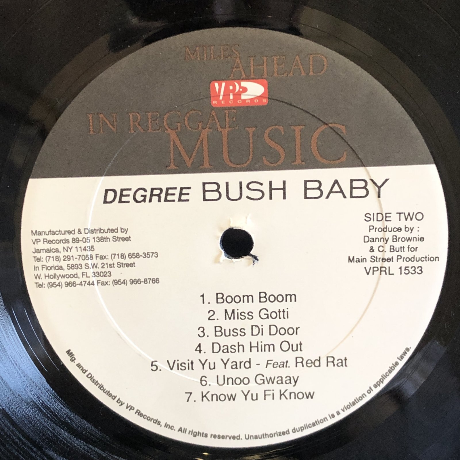 画像5: DEGREE / BUSH BABY 