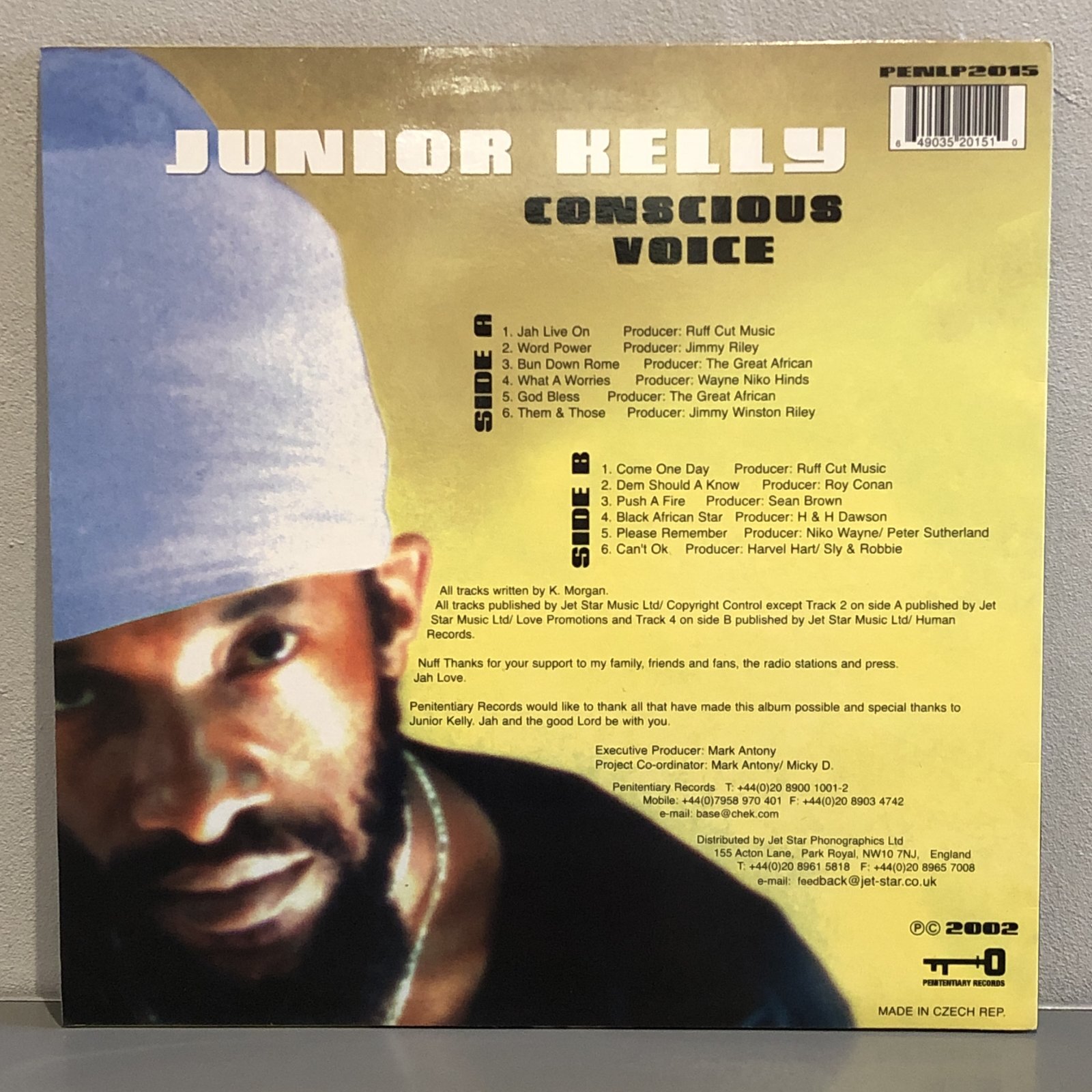 画像2: JUNIOR KELLY / CONSCIOUS VOICE 