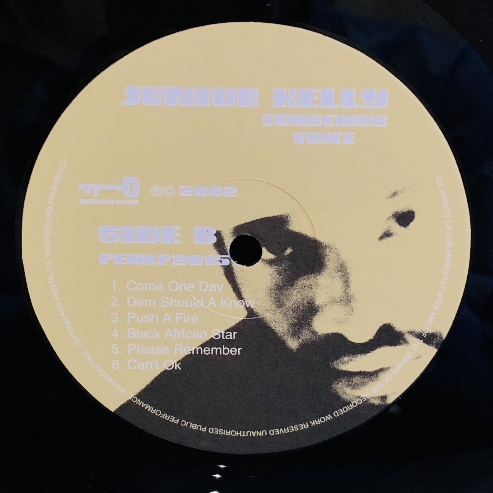 画像5: JUNIOR KELLY / CONSCIOUS VOICE 