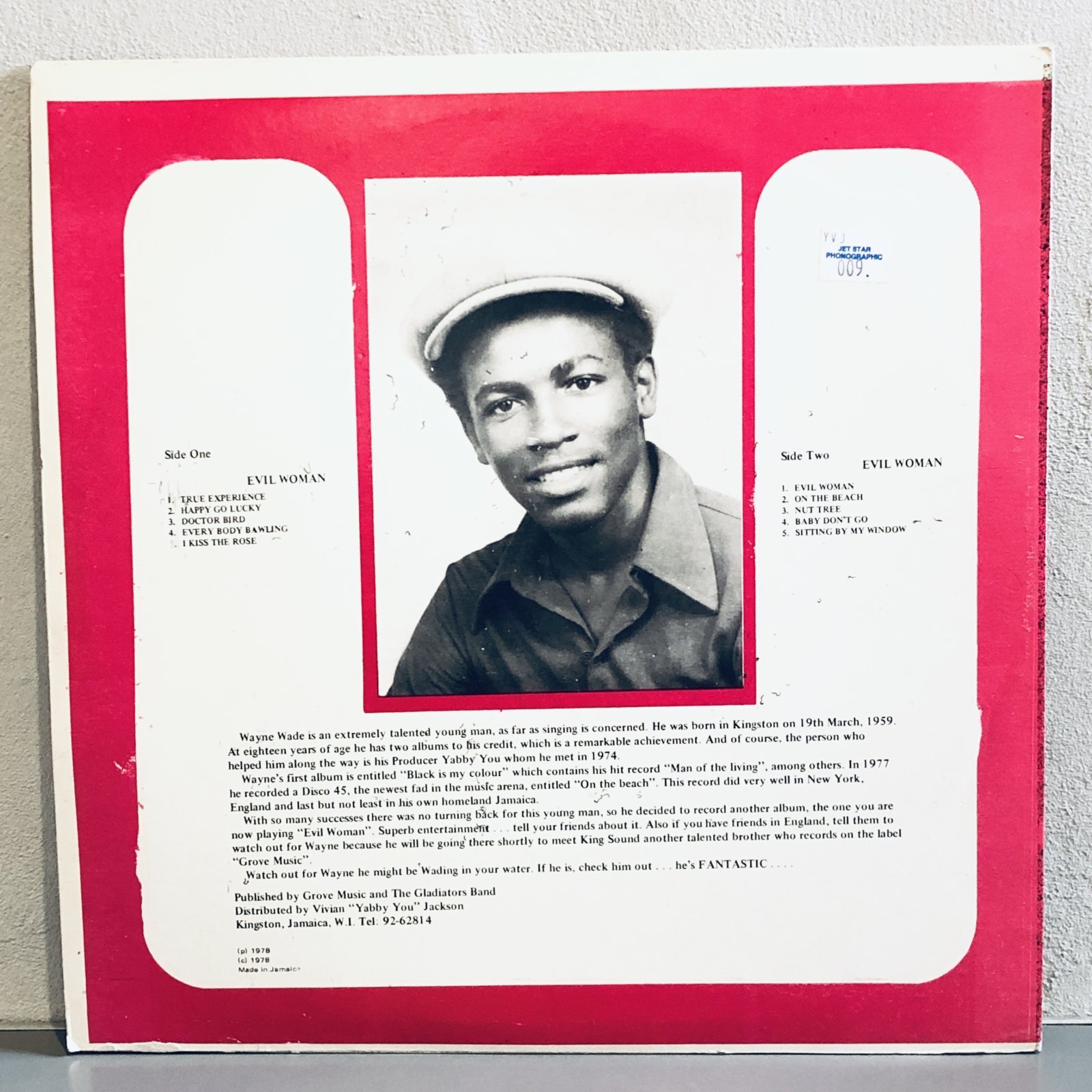 画像2: WAYNE WADE / evil woman 