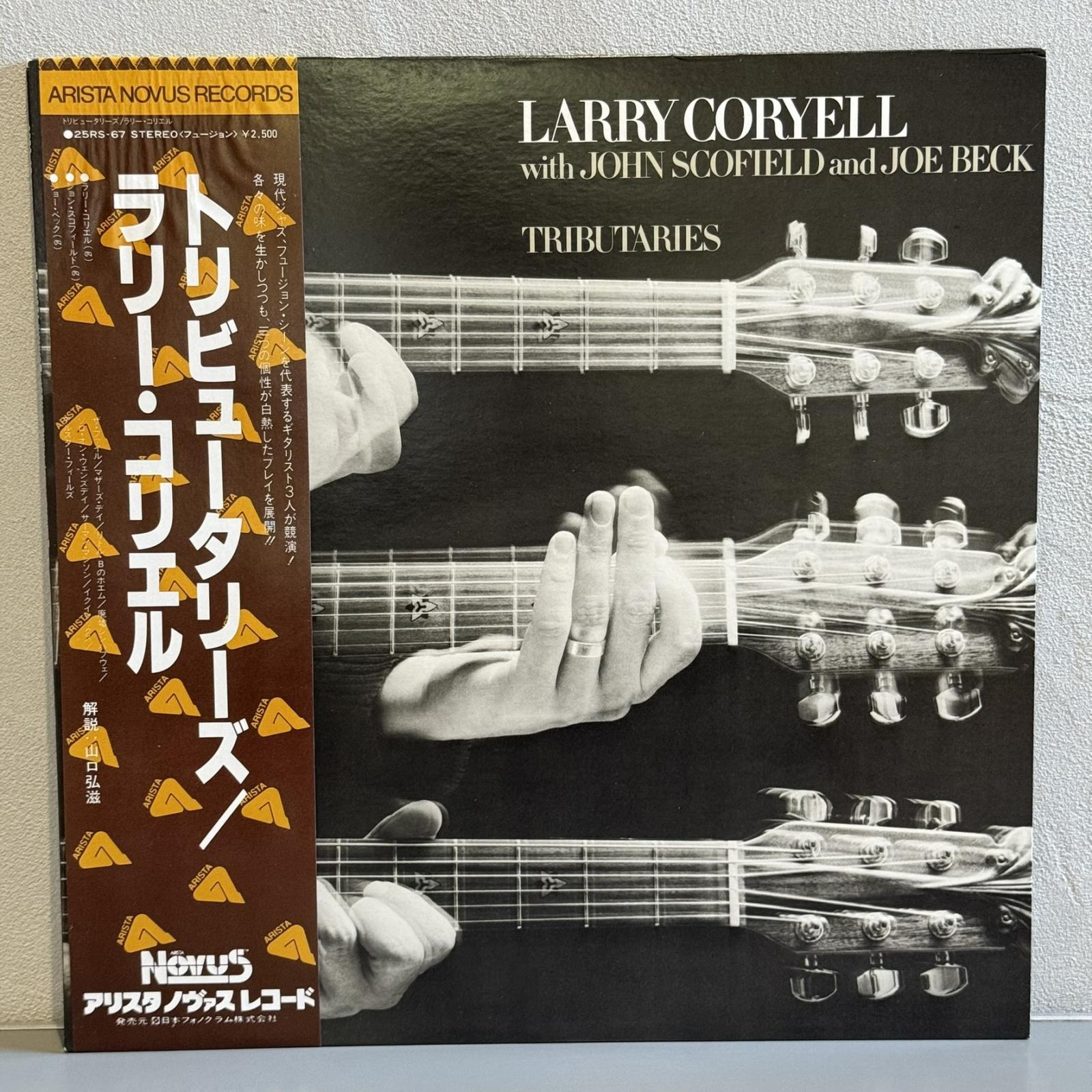 画像1: LARRY CORYELL / TRIBUTARIES 
