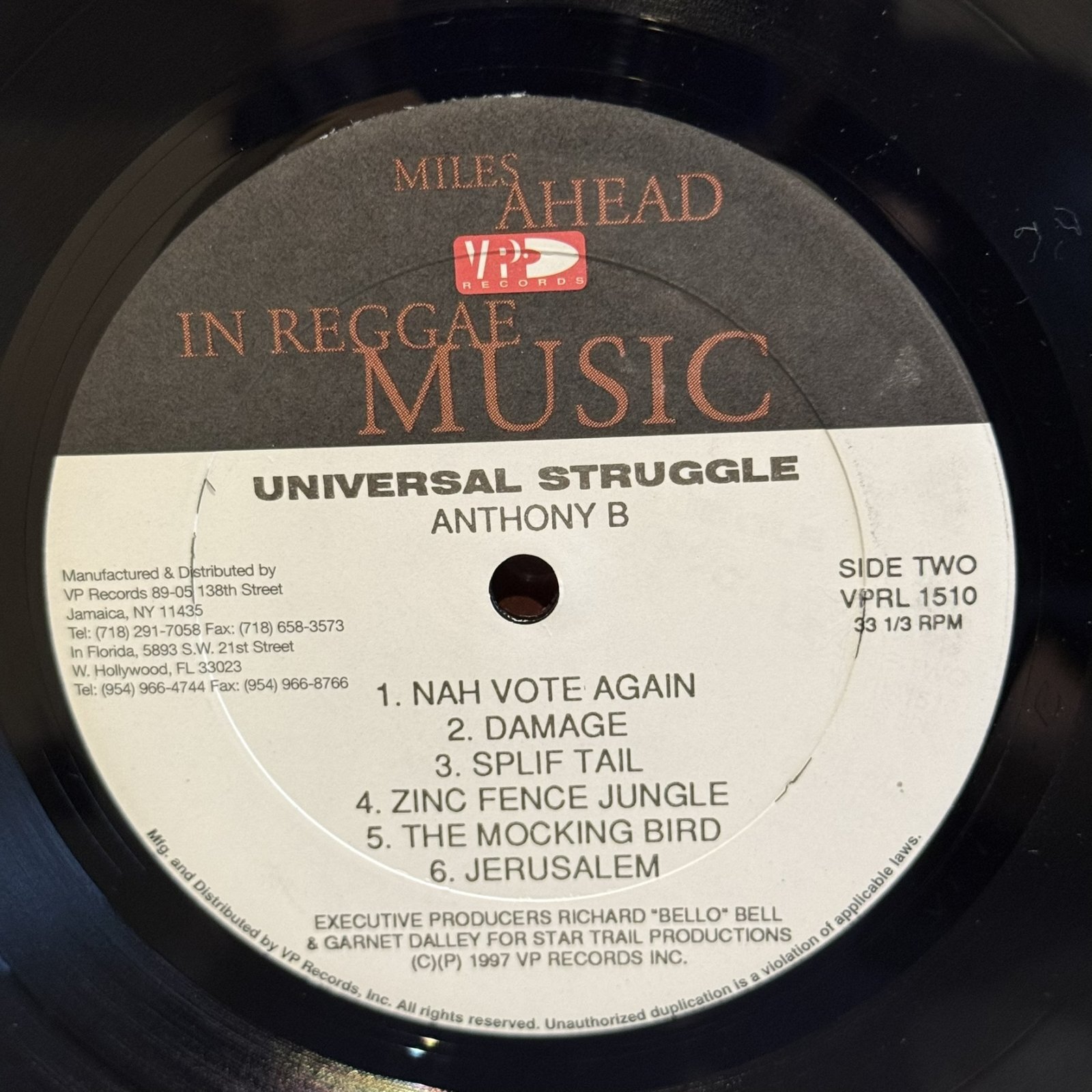 画像5: ANTHONY B / UNIVERSAL STRUGGLE 