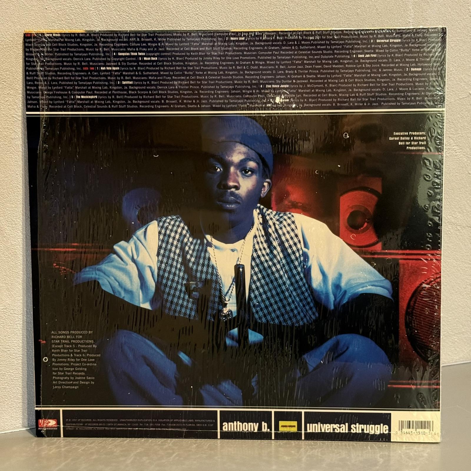 画像2: ANTHONY B / UNIVERSAL STRUGGLE 