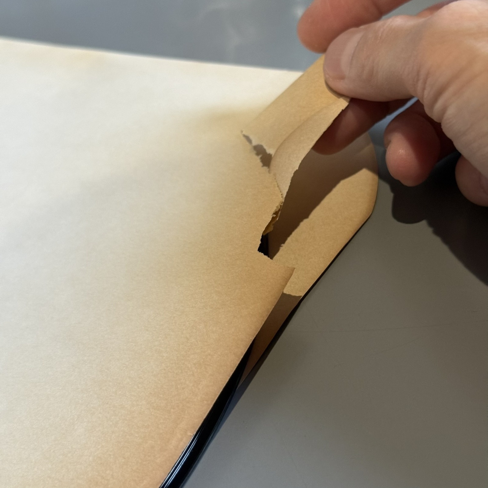 画像4: V.A. / SHADOW MEETS NANNY GOAT 