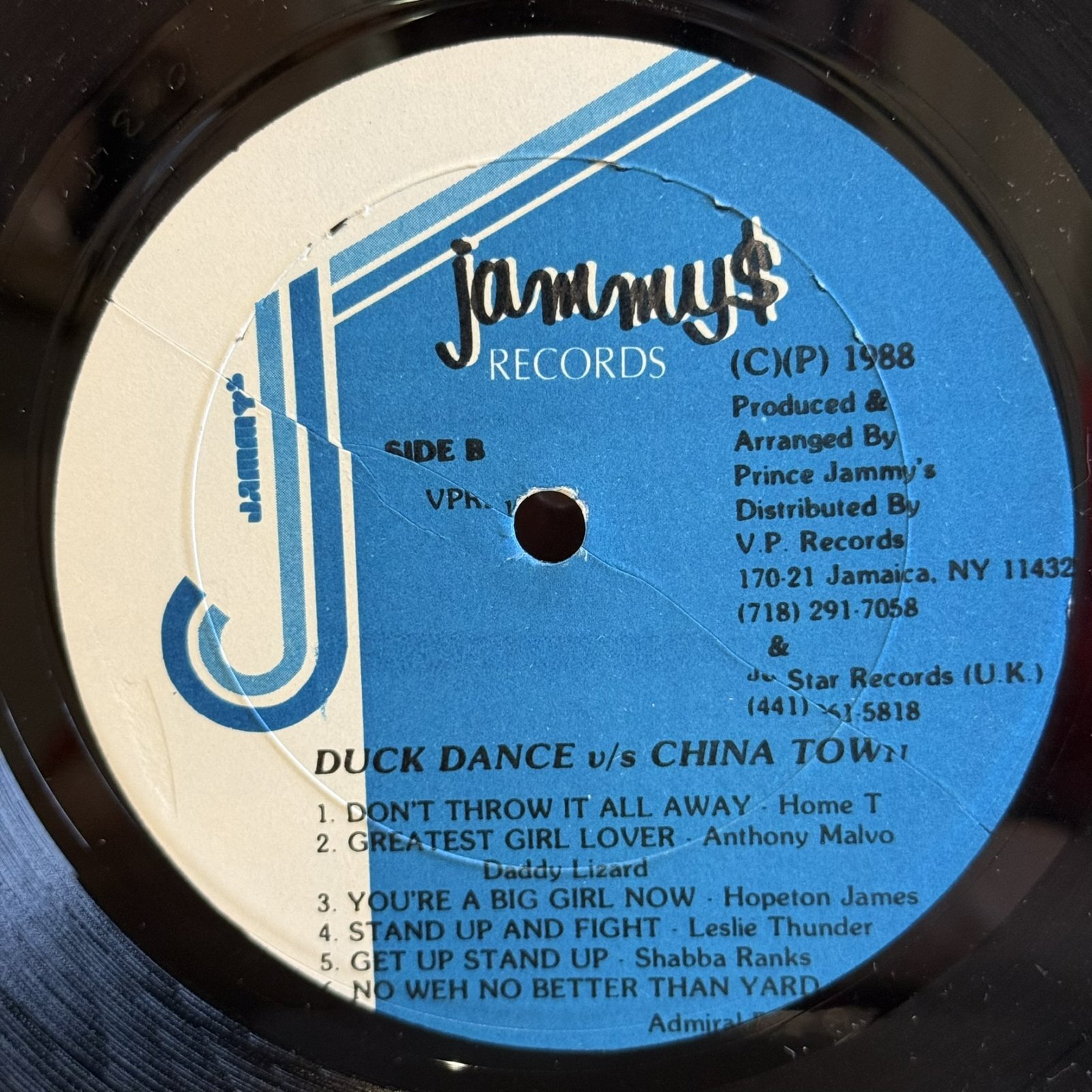 画像5: V.A. / DUCK DANCE V/S CHINA TOWN 