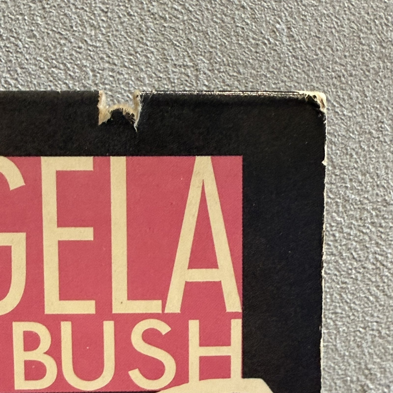 画像3: ANGELA WINBUSH / SHARP 