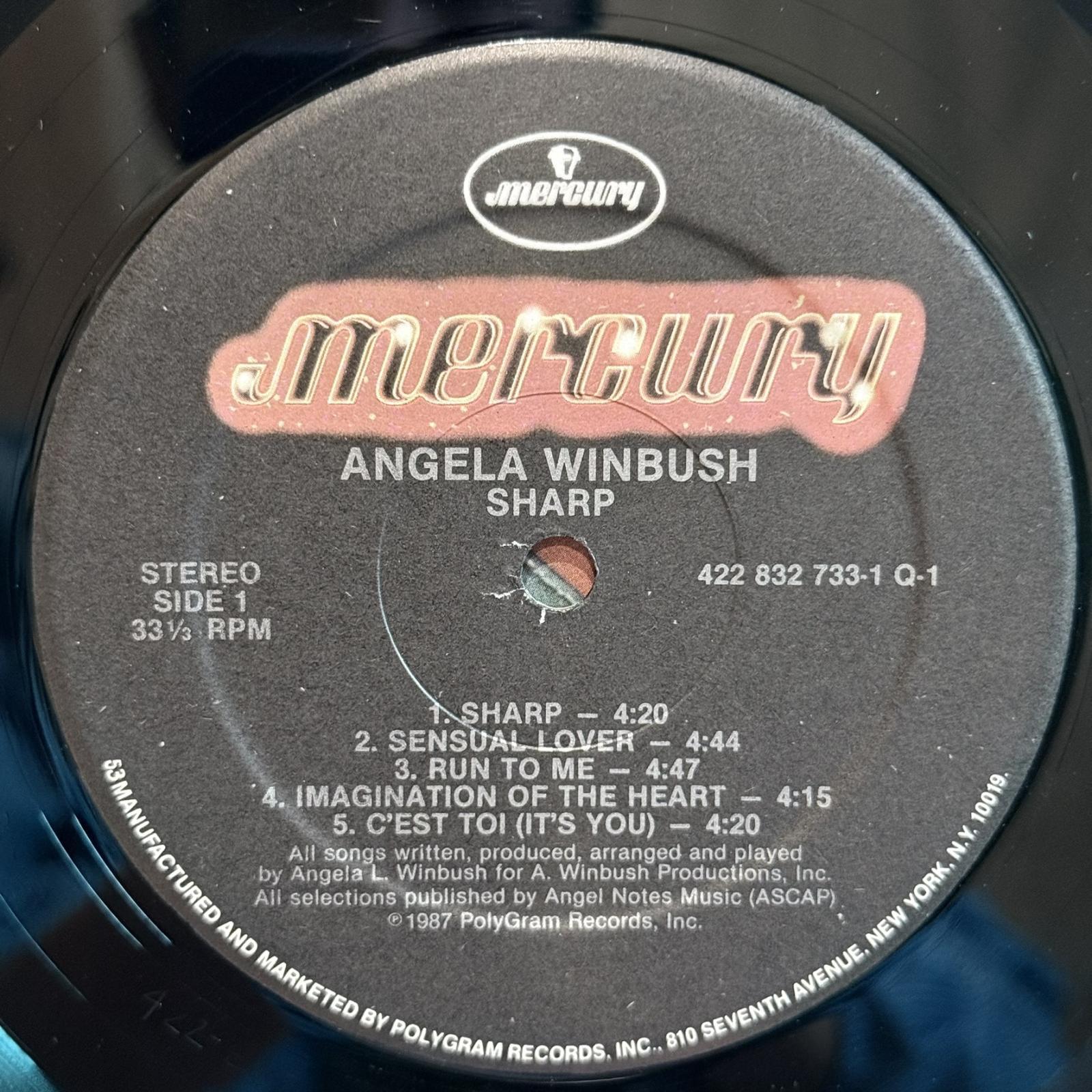 画像6: ANGELA WINBUSH / SHARP 