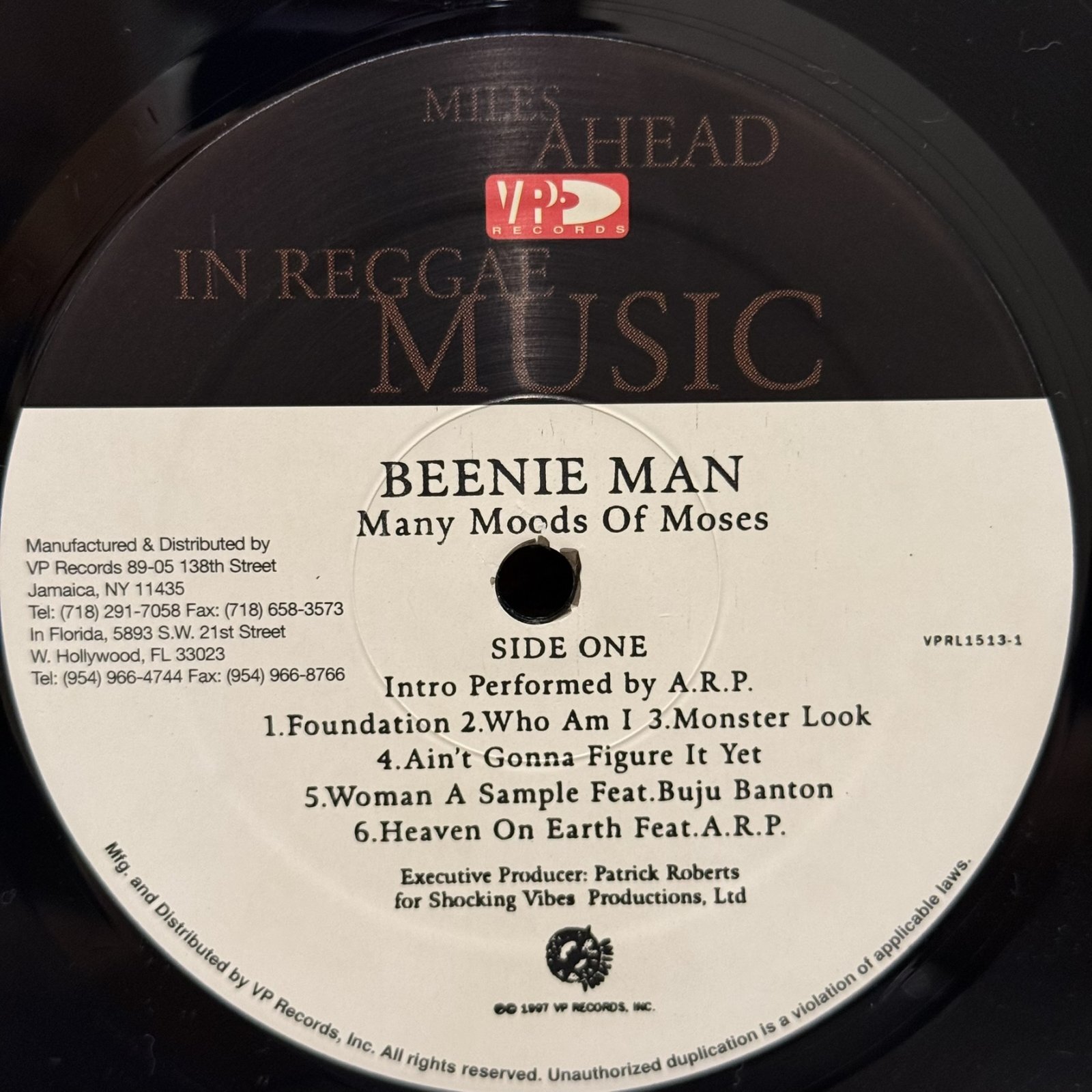 画像5: BEENIE MAN / many moods of moses 