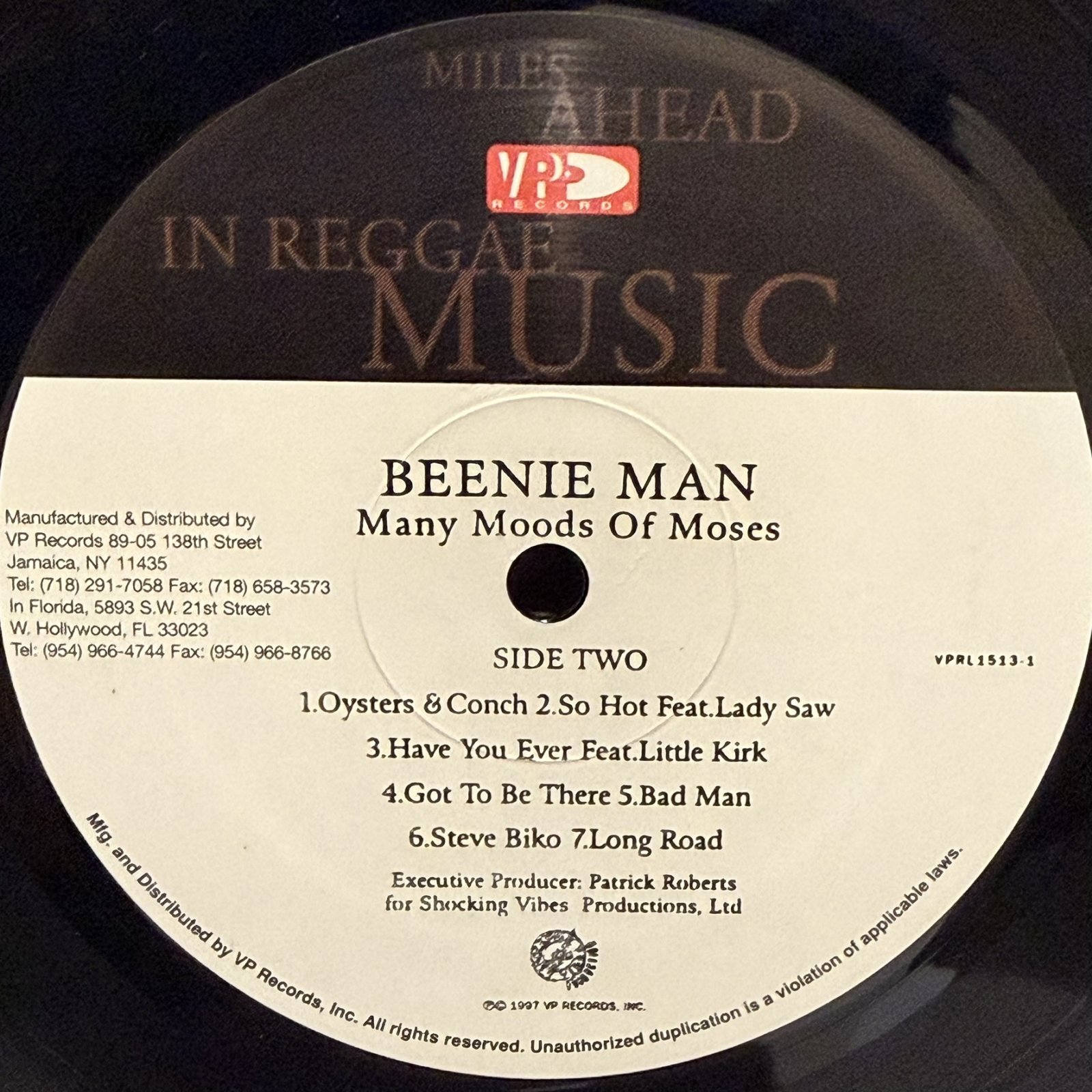 画像4: BEENIE MAN / many moods of moses 