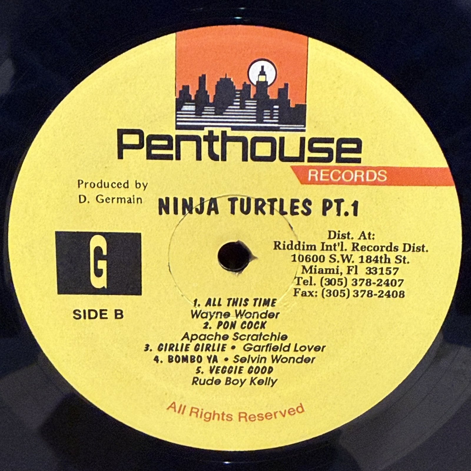 画像5: V.A. / NINJA TURTLE