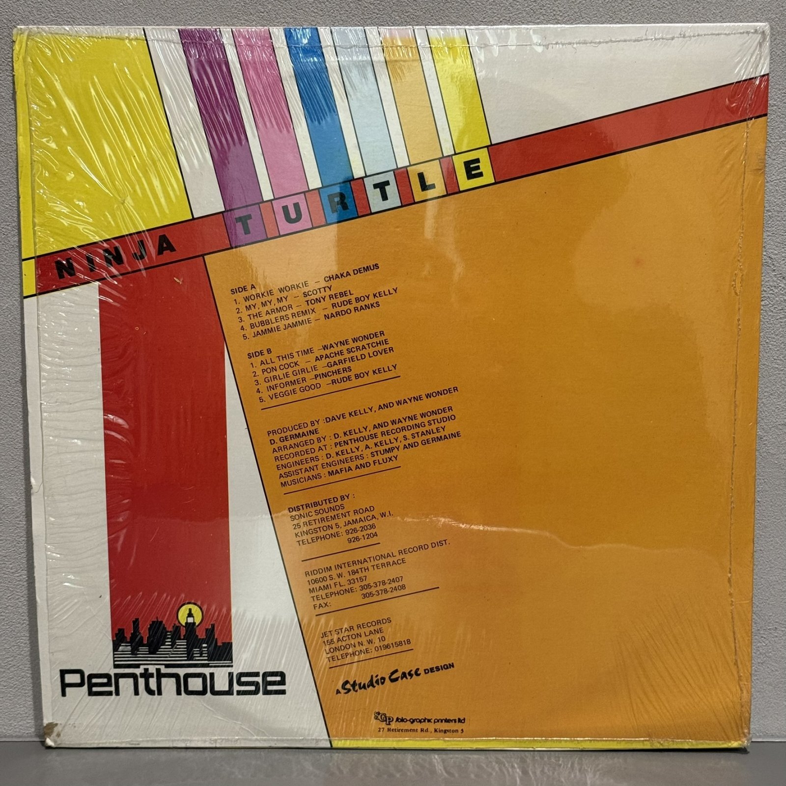 画像2: V.A. / NINJA TURTLE