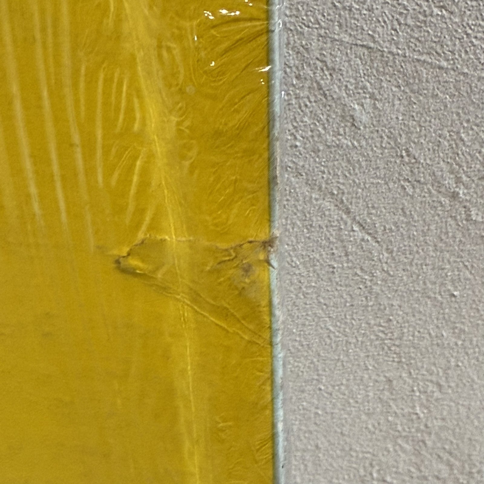 画像7: V.A. / SLIM BELLY MAN 