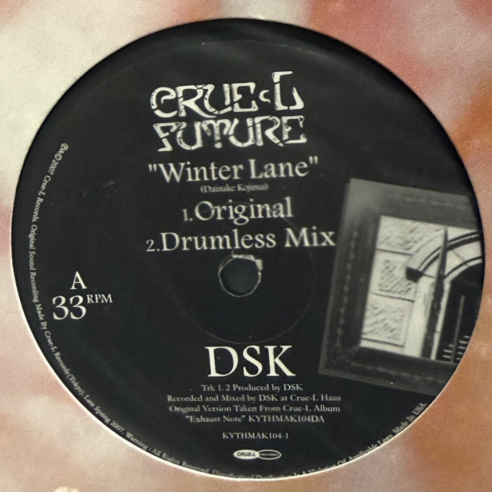 画像2: DSK / Winter Lane 12" E.P. 