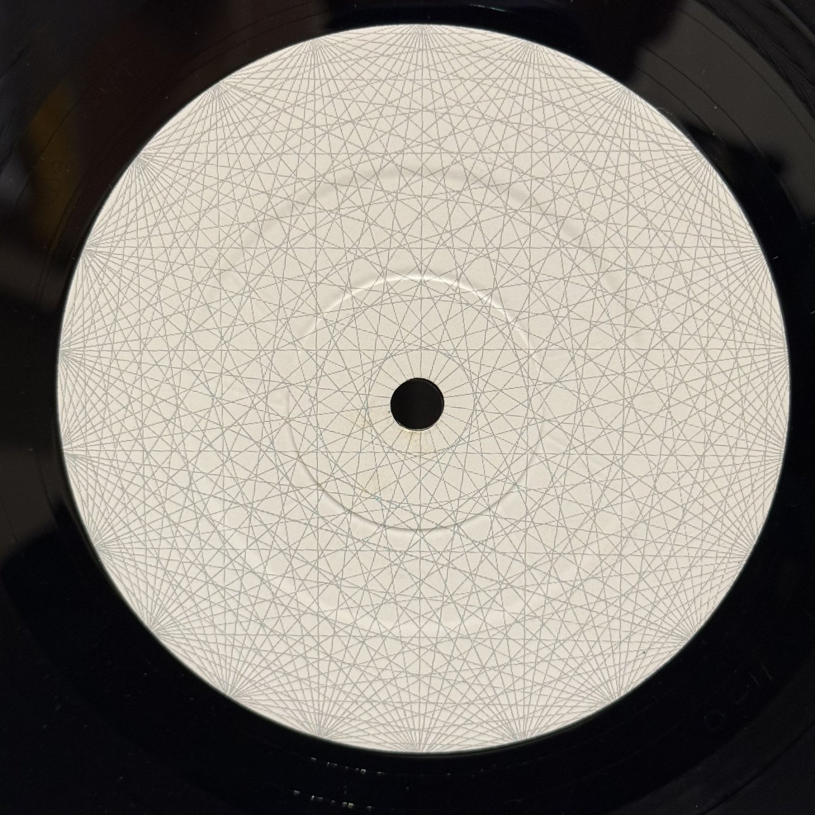 画像3: A.M.P. STUDIO / ALIEN REGISTRATION OFFICE 