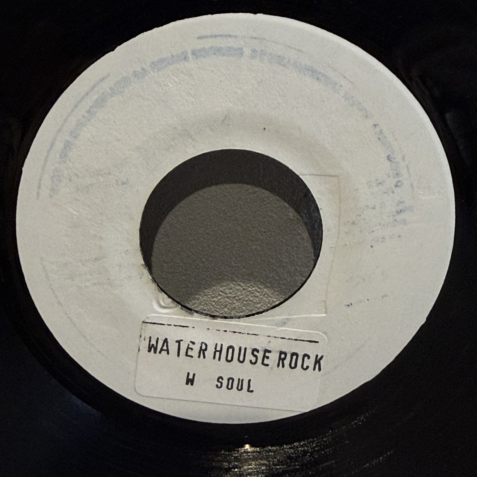 画像1: WAILING SOULS / WATERHOUSE ROCK - DON CARLOS / HOG & GOAT 