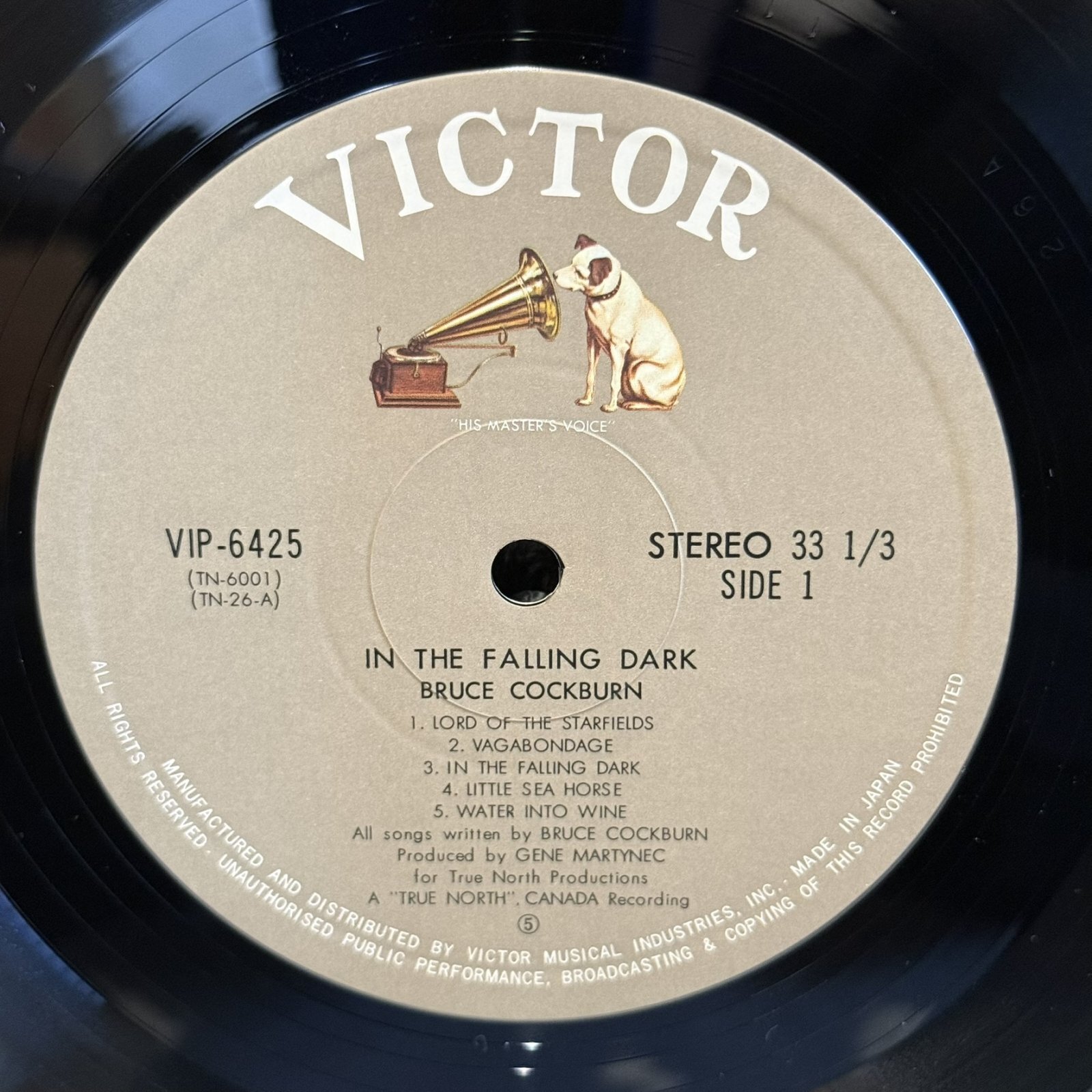 画像4: 夜のとばり - ブルース・コバーン ~ BRUCE COCKBURN / IN THE FALLING DARK ~ 