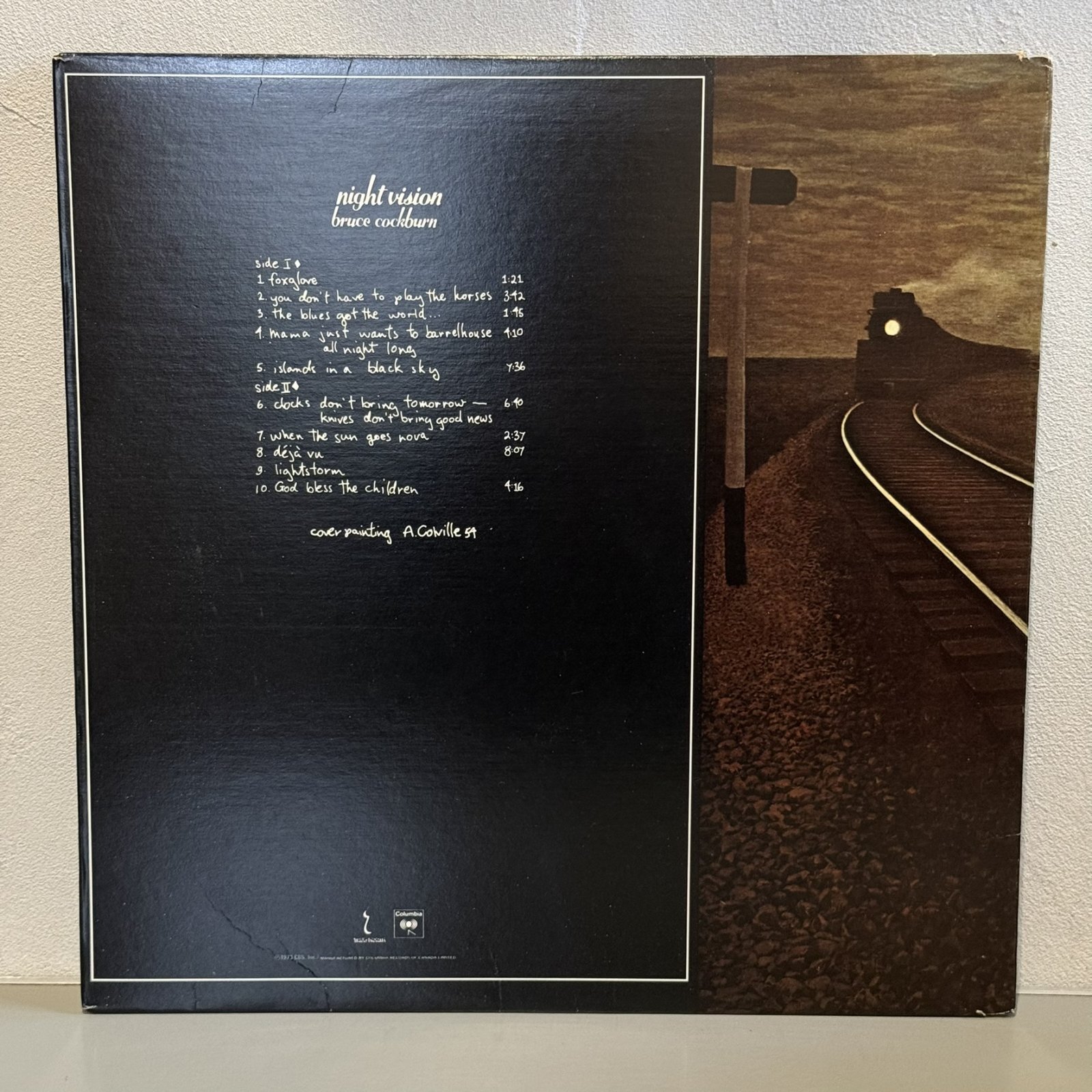 画像2: BRUCE COCKBURN / NIGHT VISION 