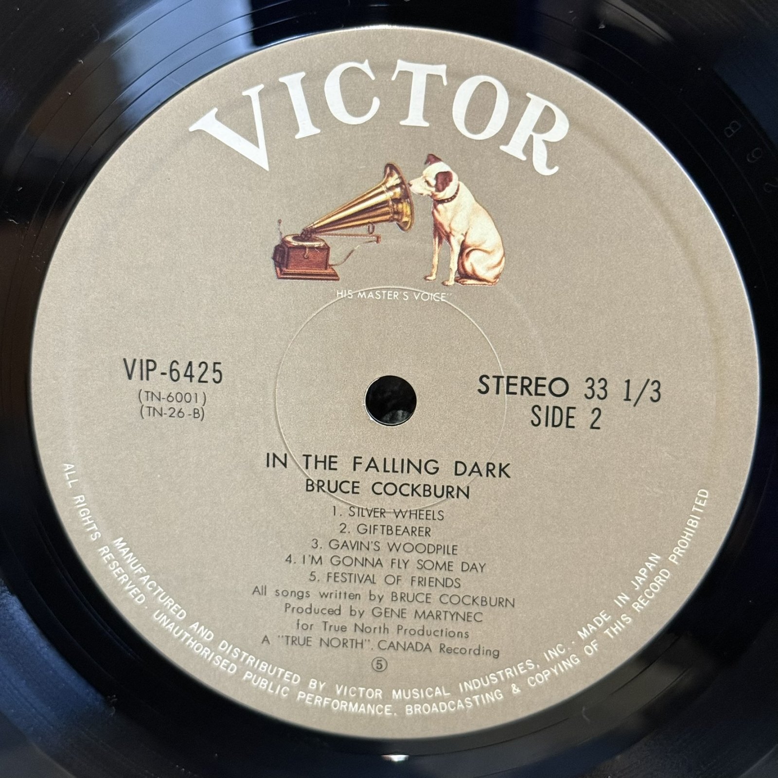 画像5: 夜のとばり - ブルース・コバーン ~ BRUCE COCKBURN / IN THE FALLING DARK ~ 