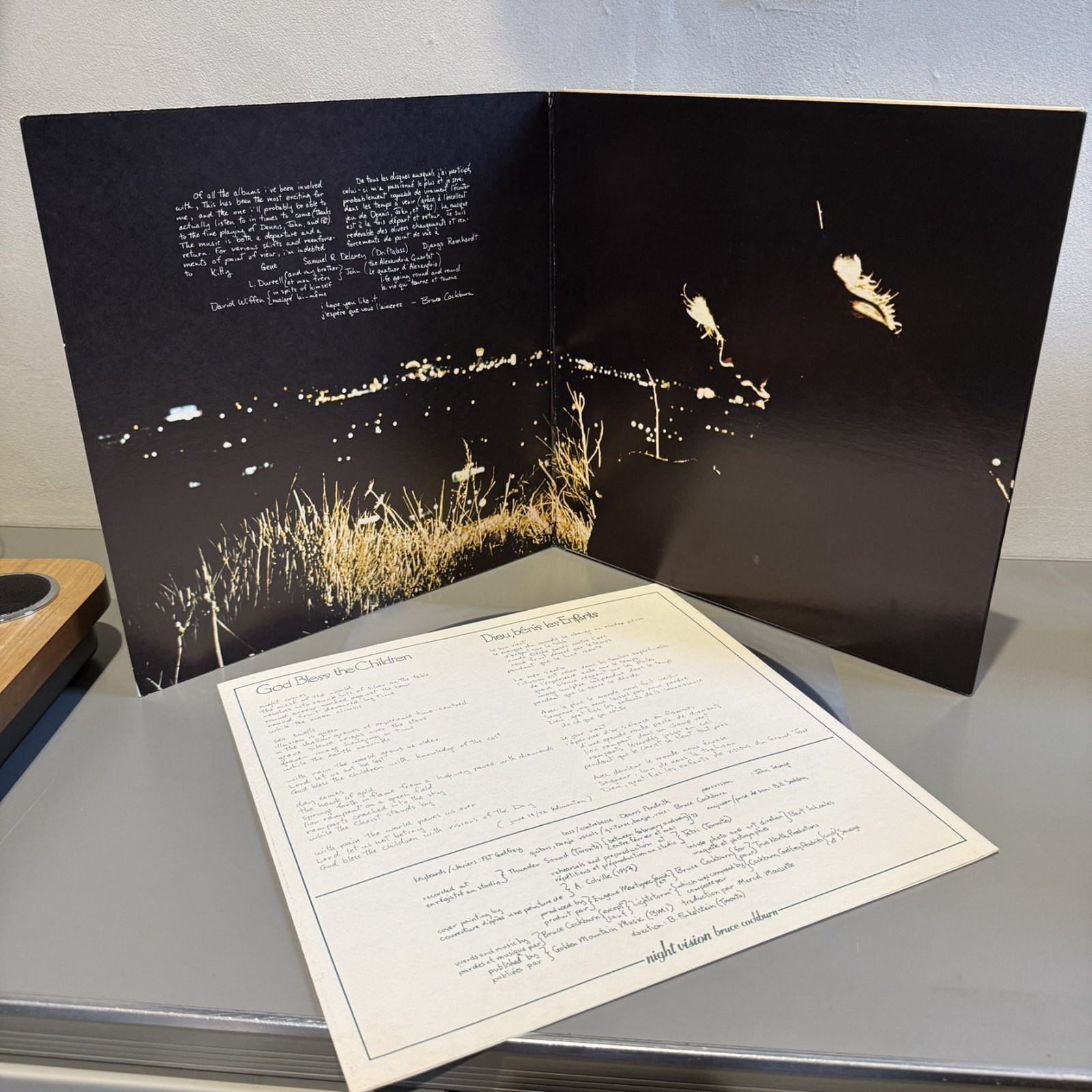 画像3: BRUCE COCKBURN / NIGHT VISION 