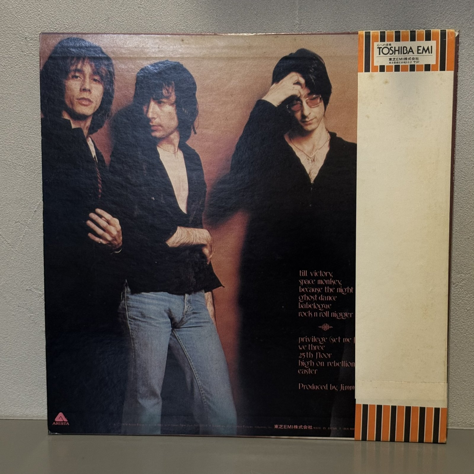 画像2: イースター　パティ・スミス・グループ　~ Patti Smith Group / EASTER ~ 