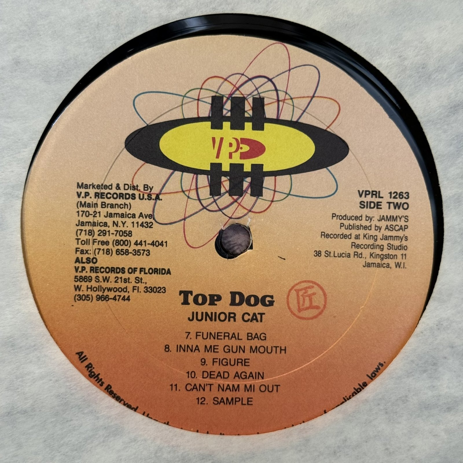 画像5: JUNIOR CAT / TOP DOG 