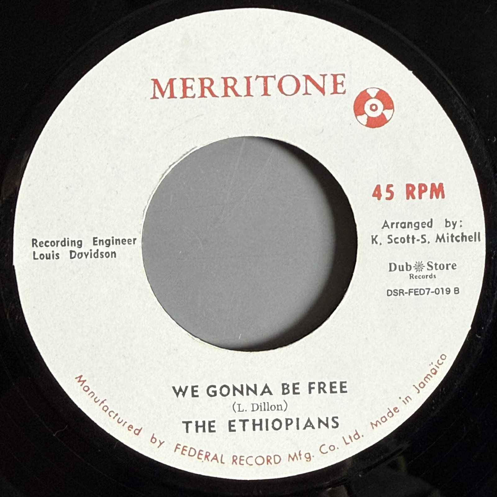 画像2: THE TERMITES / THE ETHIOPIANS — WE GONNA MAKE IT / WE GONNA BE FREE (7")　